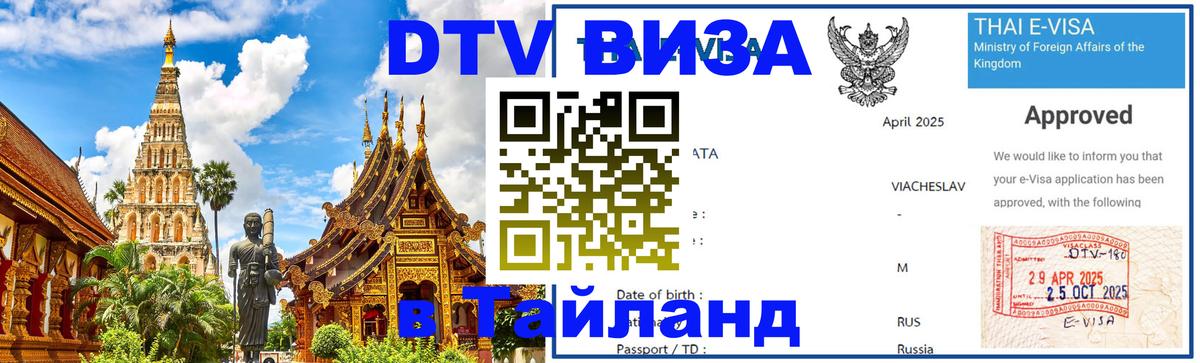 Оформление DTV визы под ключ: стоимость и тарифы, только загранпаспорт - 